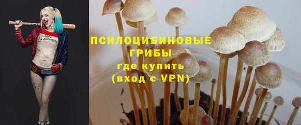 mdma Краснослободск