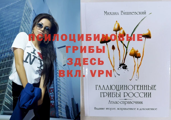 apvp Кукмор