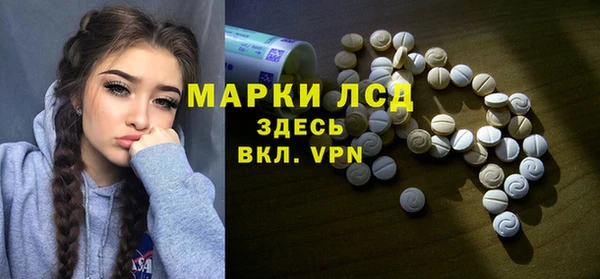 прущие грибы Красноперекопск